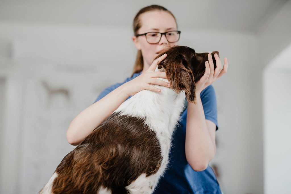 Ledmobilisering af hund